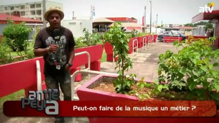 ATPA PEUT ON FAIRE DE LA MUSIQUE UN METIER OK