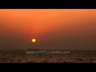 Reddish tinge of sunset over Arabian Sea
