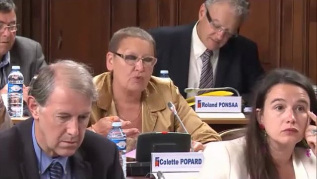 Colette POPARD. Plan départemental de l'habitat. Session du 21 juin 2013