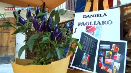 Le opere di Daniela Pagliaro esposte nel locale "Amicodivino"