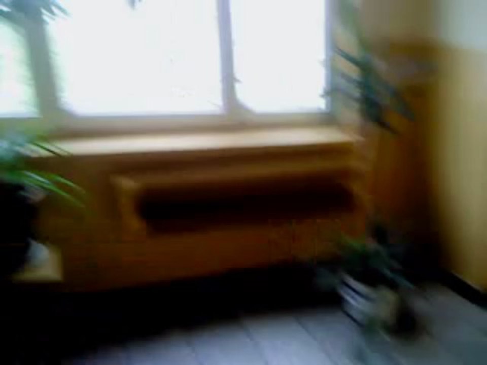 MOV00565