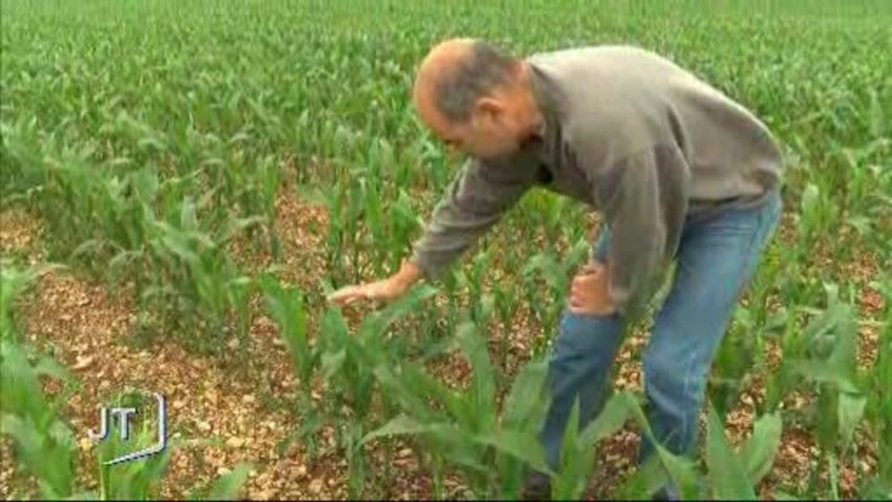 Météo : Les exploitants agricoles à mal (Oulmès)