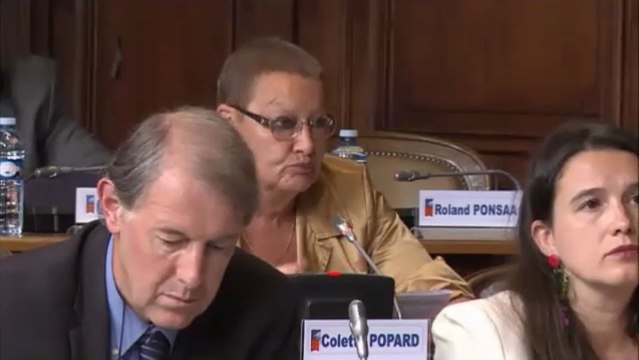 C POPARD et JC ROBERT. Budget supplémentaire Aide sociale en Côte-d'Or. Session du 21 juin 2013.