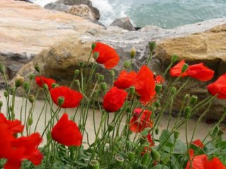 Giovanni Marradi - Try To Remember