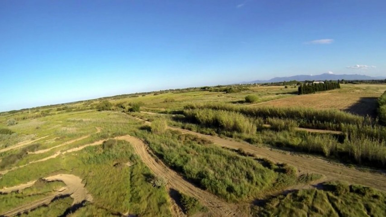 Gopro Hero 3 Black & T-rex 500 Pro DFC