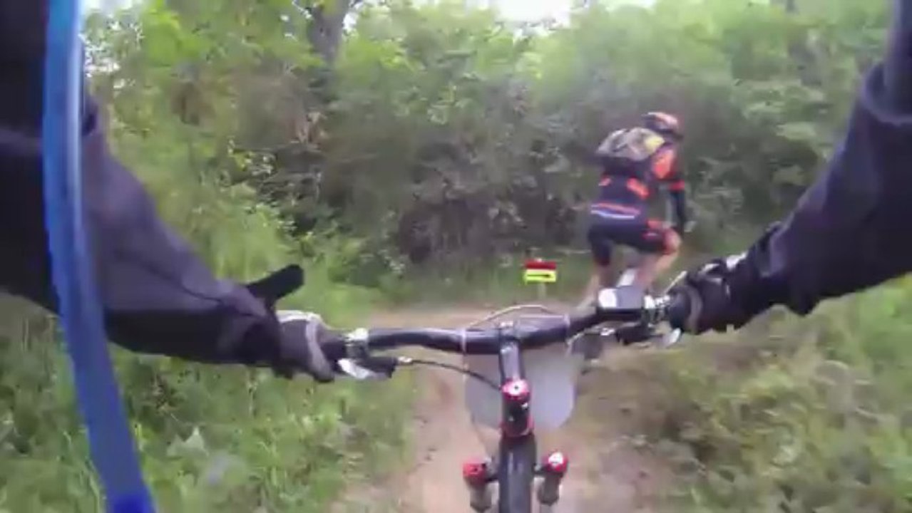 La trace du sanglier
