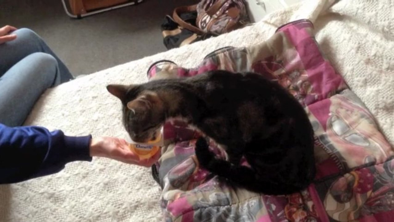 Danette miam !