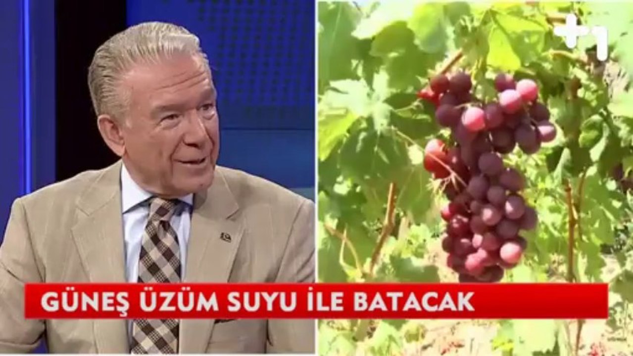 arti bir Ana Haber - Uğur Dündar Bozcada Şarap Yorumu