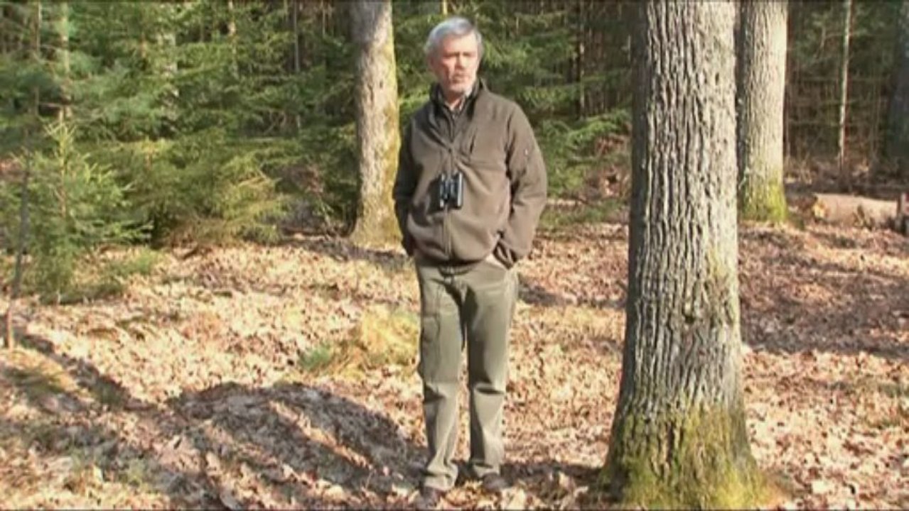 Les chouettes de Natura 2000