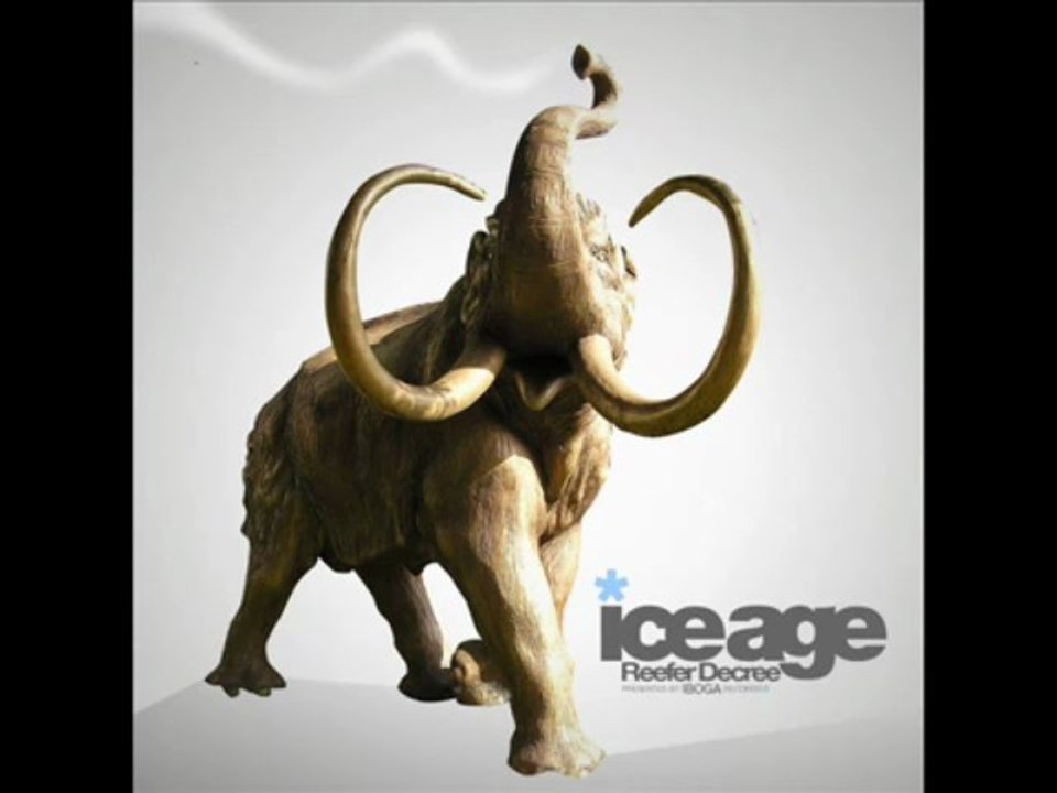 Reefer Decree - Kongasm (Iboga Records) - YouTube2