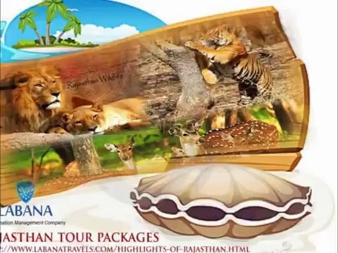 Rajasthan tour packages | Rajasthan tourism