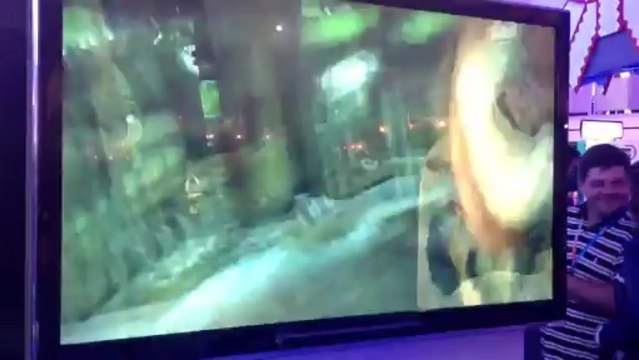 Wii U : Batman Arkham City Armored Edition Gameplay