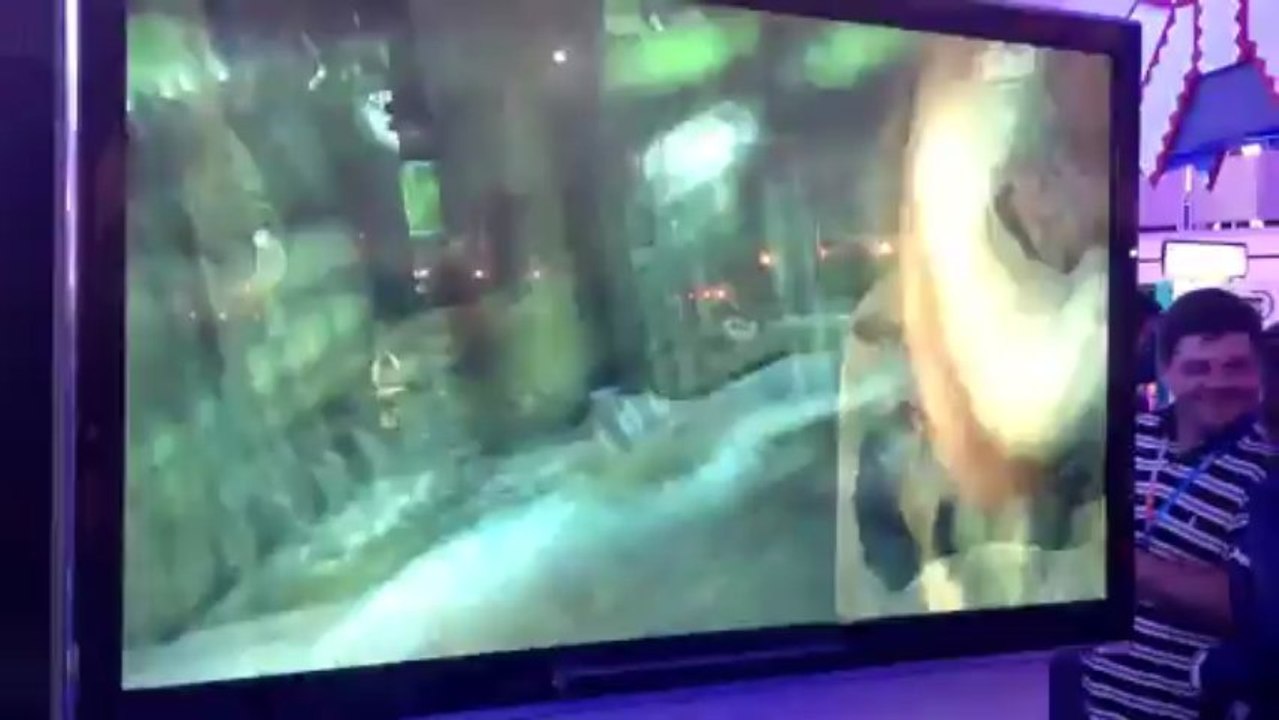 Wii U : Batman Arkham City Armored Edition Gameplay