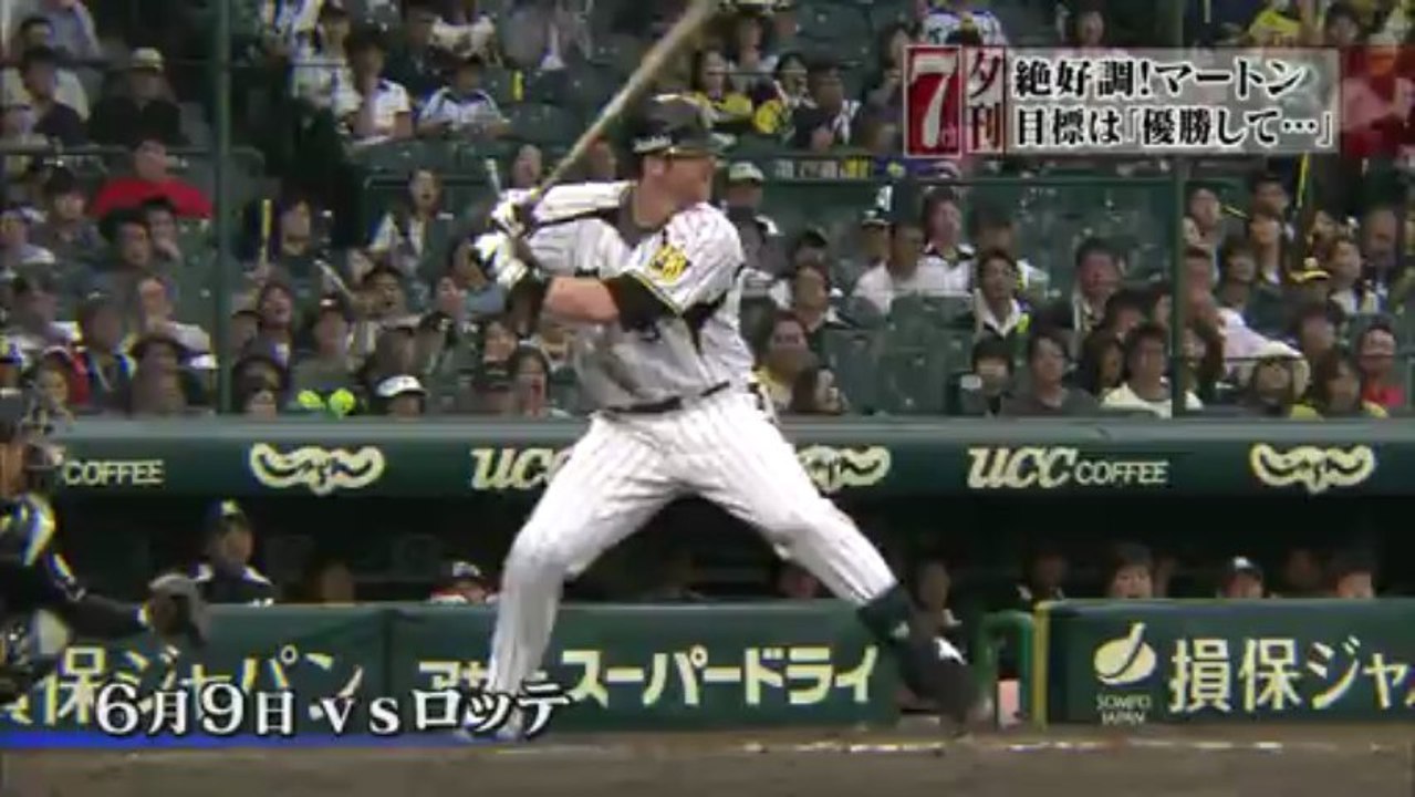 阪神目線　Matt 20130625