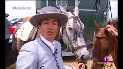 TIEMPO DE TOROS 24 JUNIO