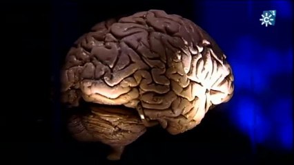 Viaje al cerebro: Parque de las ciencias de Granada