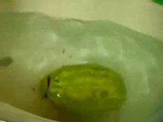 Explosion d'une pastèque avec de la glace carbonique