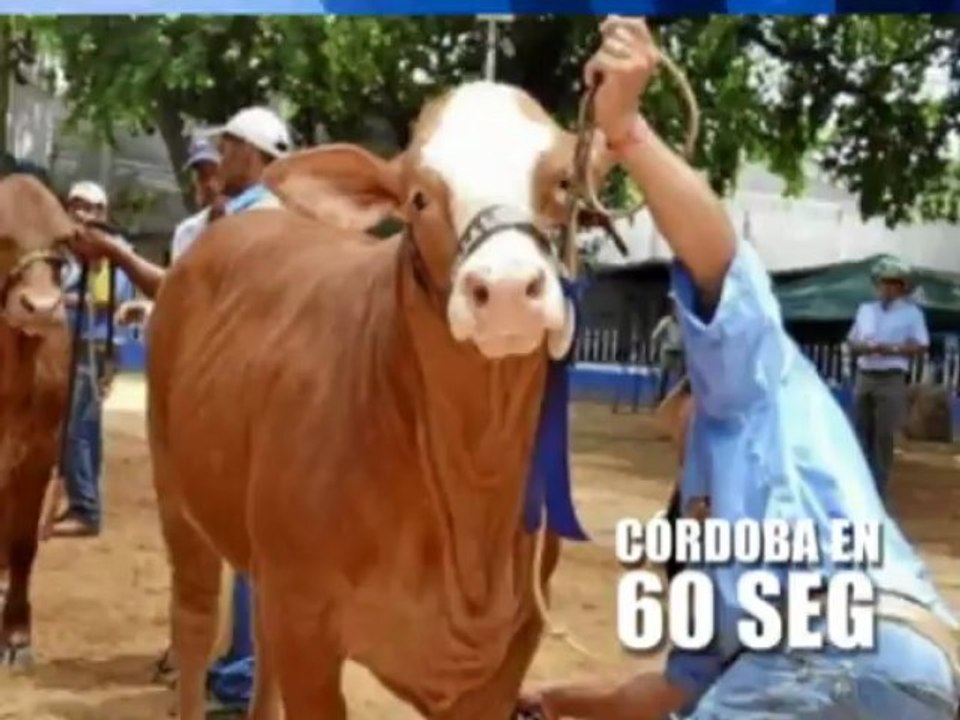 Cordoba en 60Seg 24 de Junio de 2013