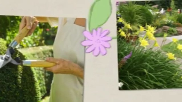 Precision Landscape and Maintenance LLC (435) 229-1521