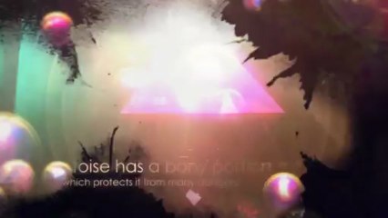 Turtles and Turtle Care