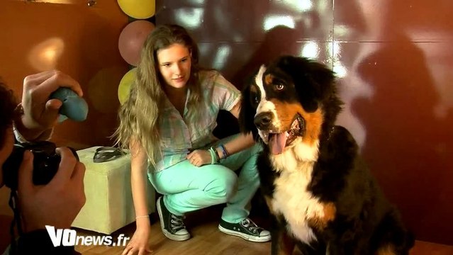 Concours du chien le plus souriant du Val-d'Oise