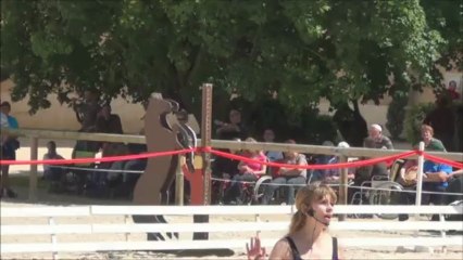 La Belle et la Bête Spectacle à Cluny