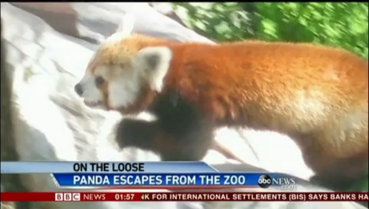Two Fugitive Americans On The Loose - Rusty Found, Snowden Lost