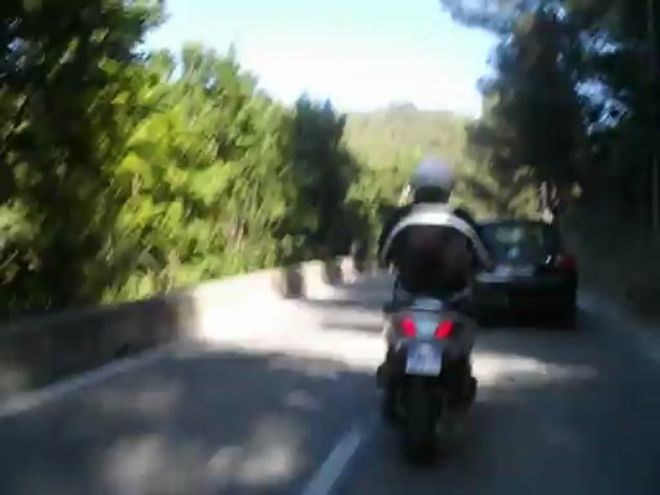 Zone XMAX , rasso à Marseille 5