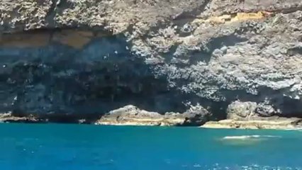 Costa Adeje Tenerife (Petite viree en catamaran vers Los Gigantes)