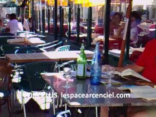 Le Corbeau qui parle le Chat