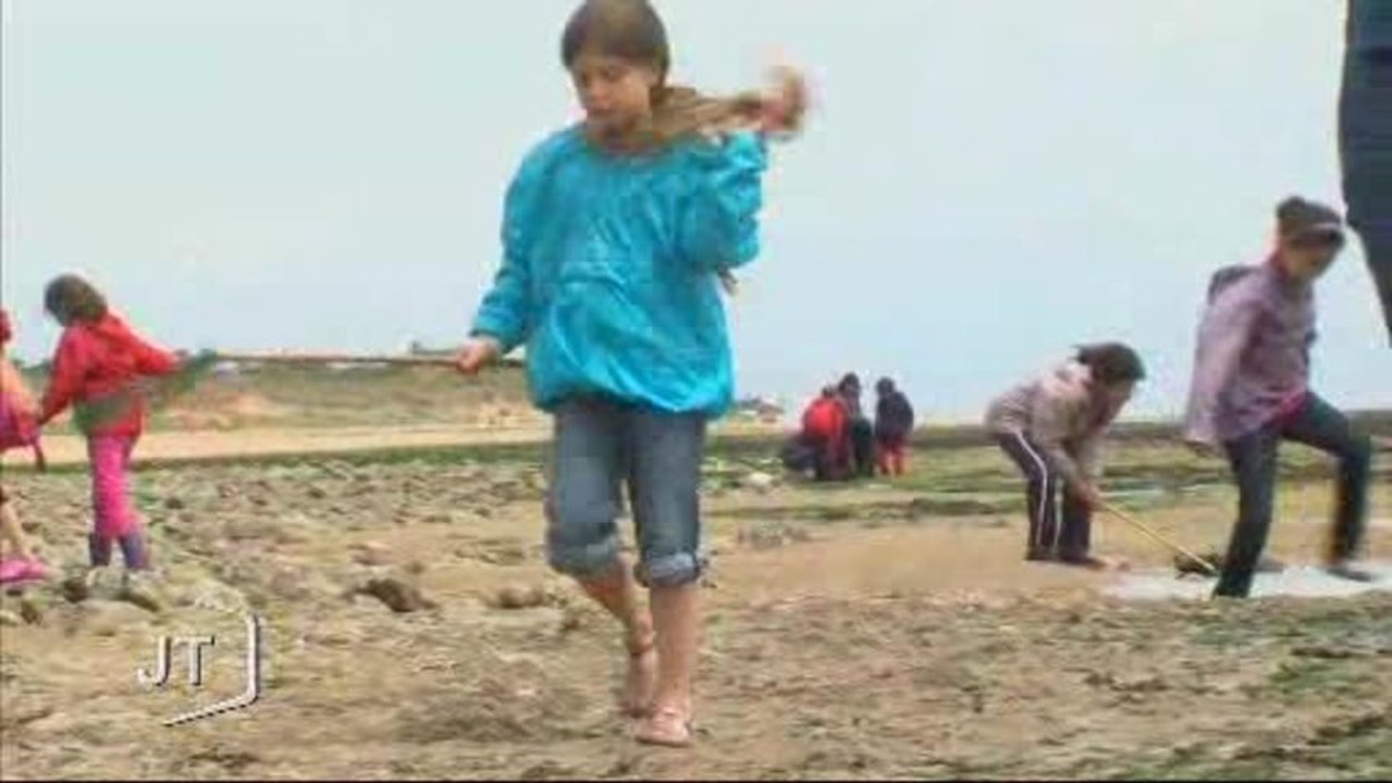 Sortie scolaire : pêche à pied à La Tranche-sur-Mer