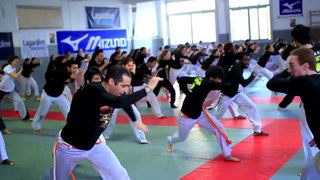 Vamos Capoeira Paris - acrobaties danseurs