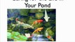 Clean Fish Ponds with Pond Straw - Video Training