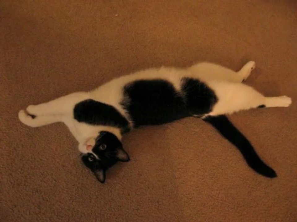 Playing Cute