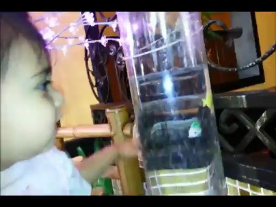 Not Eating at a Chinese Restaurant Comp