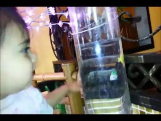 Not Eating at a Chinese Restaurant Comp