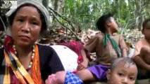 مراقبة سكان أقليات الروهنجيا  والعنف الجنسي للنساء - Rohingya Population Control, Sexual Violence of Minority Women