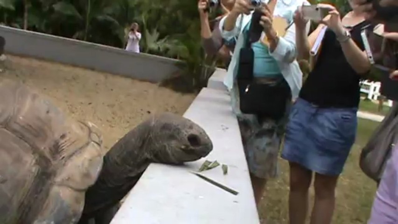 Mauritius Hotel Mauritius Maritim Mauritius Balaclava