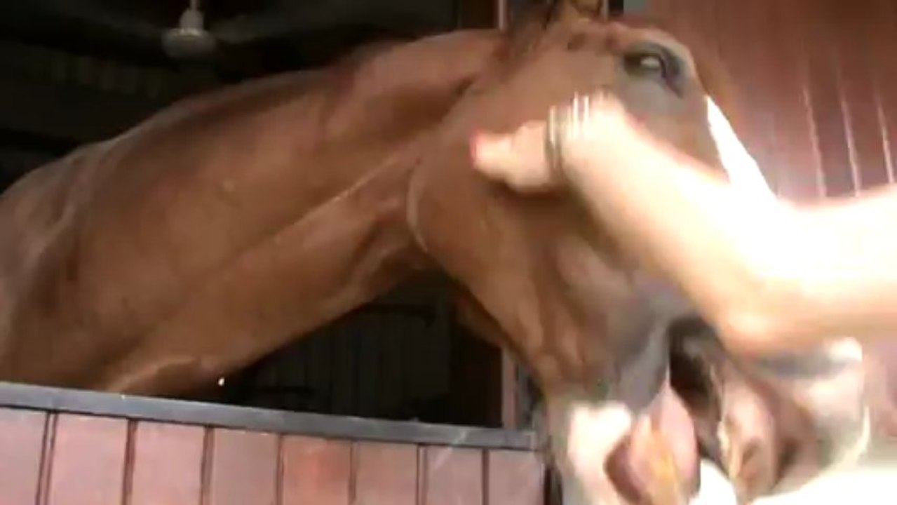 Mauritius Hotel Mauritius Maritim Mauritius Balaclava