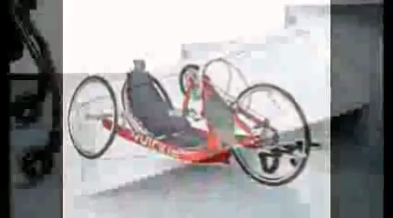 ortoweb