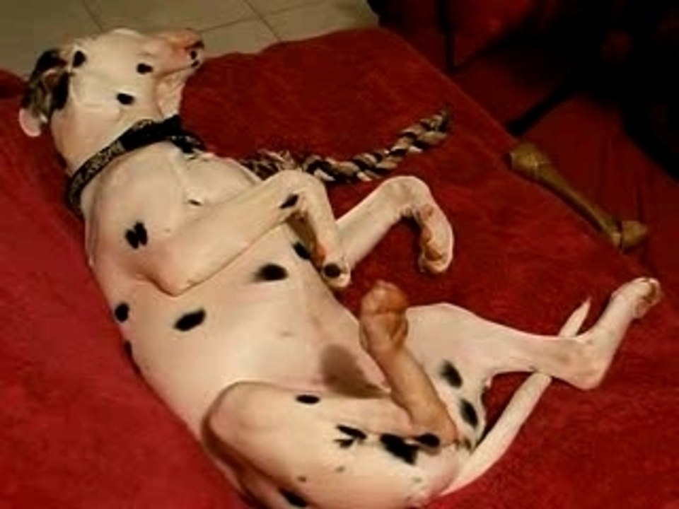 Austine qui dort