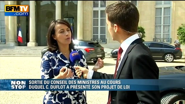 Cécile Duflot: le gouvernement doit garantir l'accès aux logements - 26/06