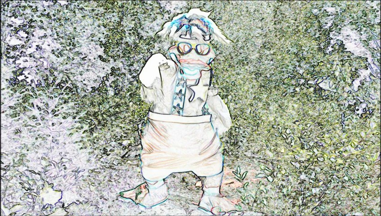 starduck musique