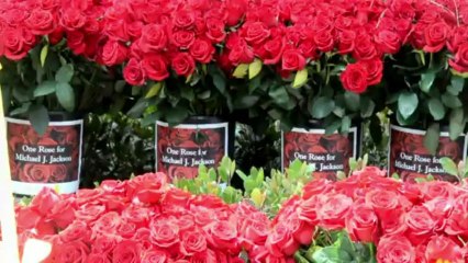 Les fans marquent les 4 ans de la mort de Michael Jackson