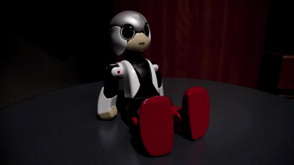 Le Japon envoie un robot sur l'ISS pour tenir compagnie à ses astronautes