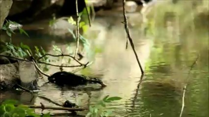 test canon 6D