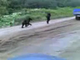 Black bear attacks Man