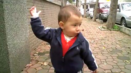 Baby Searches for Memory of a Ball (cute)