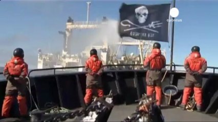 Australia and Japan in court over whaling