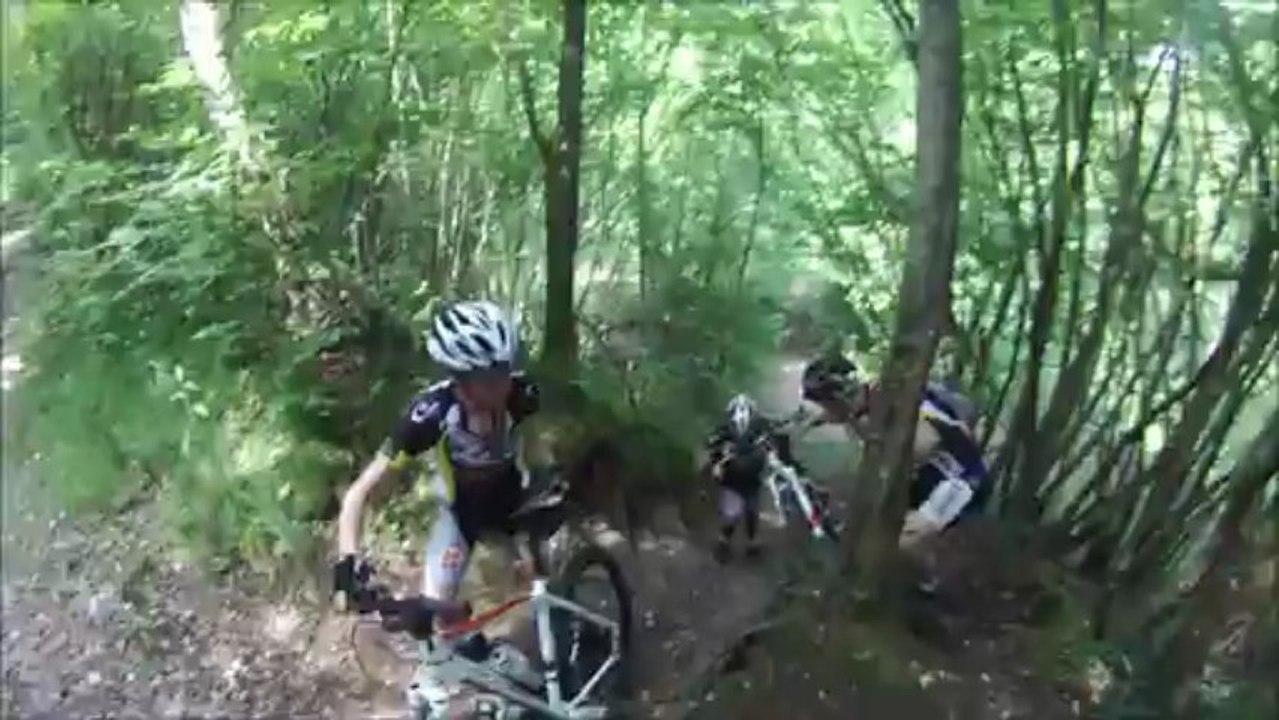 forêt de bord
